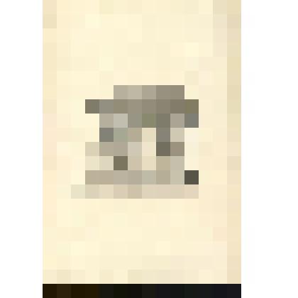 Типолитография "Буддийский храм"