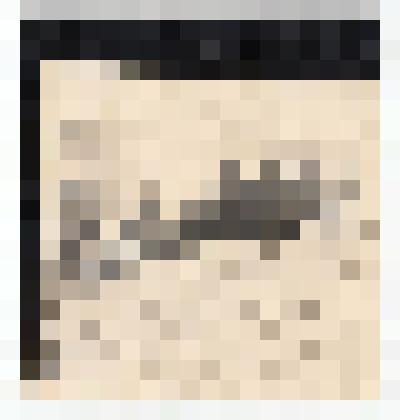 Ф/чб. Бойцы 326-го артиллерийского полка 148-й стрелковой Черниговской дивизии: майор Ананьев Михаил Петрович (слева) с 5 однополчанами. Чехословакия. 25.5.1945