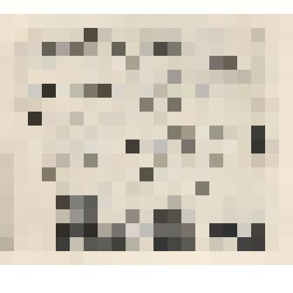 Фотокопия  с автографа стихотворения "Не смейся над моей пророческой тоскою..."