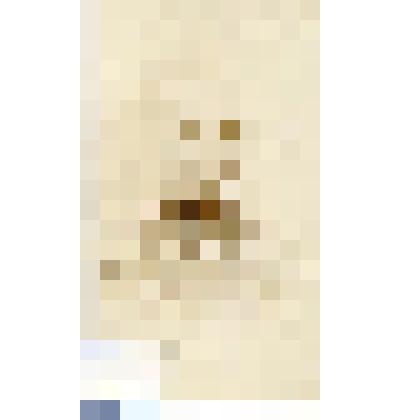 Фотография черно-белая. Юргенсон Николай Павлович