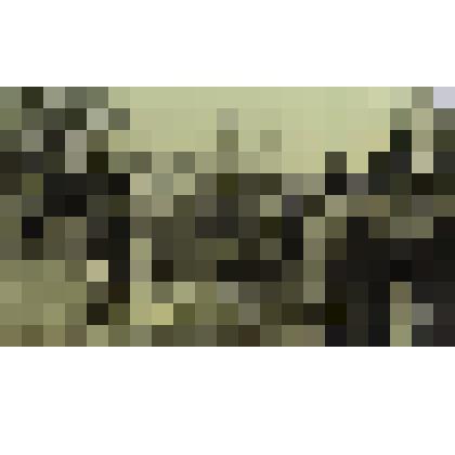 Фото Областной семинар по Охране природы Ильмовая роща