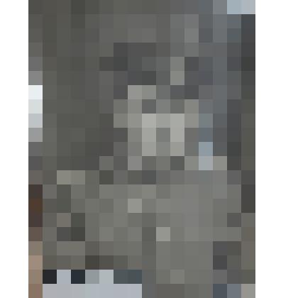 Фотография. Никишин Н.Ф