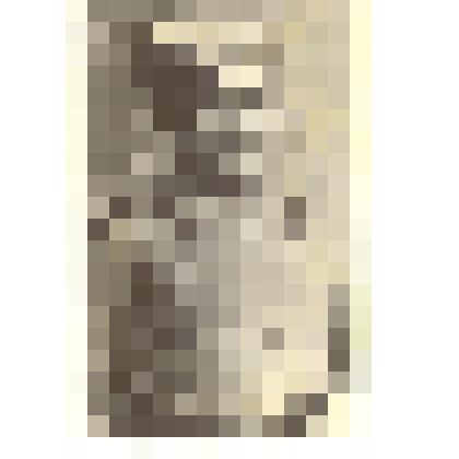 Фотография. Чулков Михаил Дорофеевич, командир восьмого Бурлинского полка. Копия