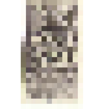 Марки почтовые. Марка почтовая. 120 руб. (черный). "Гербовая марка" с изображением двуглавого орла и надпись "Единая Россия" 