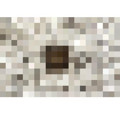 Значок: футбол