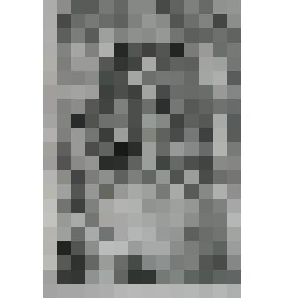 Портрет Виллема [IV], Карела Хендрика Фризо, принца Оранского