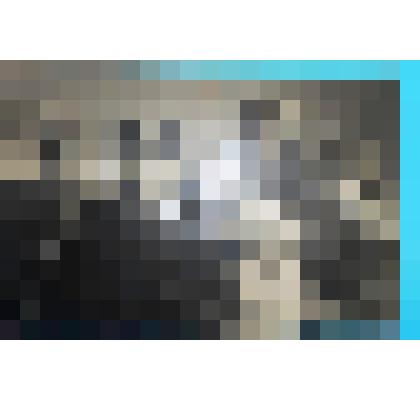 фотография. М.В.Добрынин, В.С.Добрынин, П.В.Добрынин,Володя Добрынин,Т.Н.Добрынина