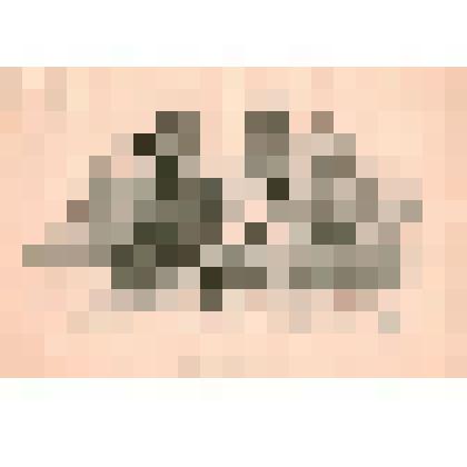 ЛИСТ 22. ГЕРОИ ИНКЕРМАНА ПЕРЕД СРАЖЕНИЕМ
По оригинальному рисунку Николая Степанова.
Из серии сатирических литографий, посвященных Крымской войне. 1855