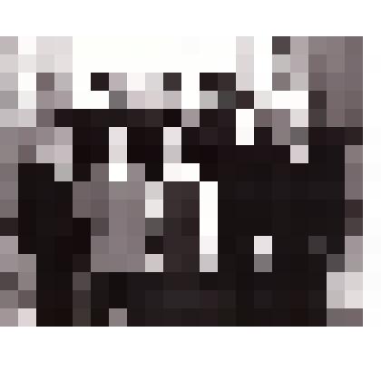 Фотография черно-белая "Делегаты 22 областной комсомольской конференции г. Архангельск"