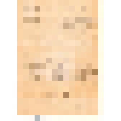 Анкета участника Великой Отечественной войны 1941-1945 гг. - Сапёткина Александра Николаевича