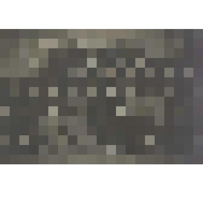 Фотография ч/б. Группа работников Петроградского почтово-телеграфного округа