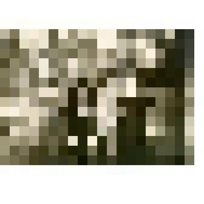 Фотография. Валентина Николаевна Любищева (Дроздова) с родствениками