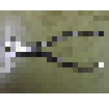 Щипчики для сахара