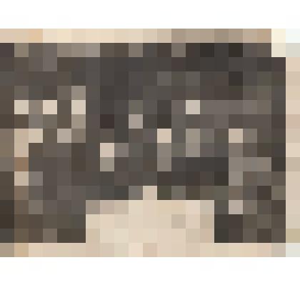 Ф/чб. Прием в члены партии в 148-й стрелковой дивизии. За столом - Никитин Владимир Николаевич, инструктор политотдела (за столом). 1944-1945