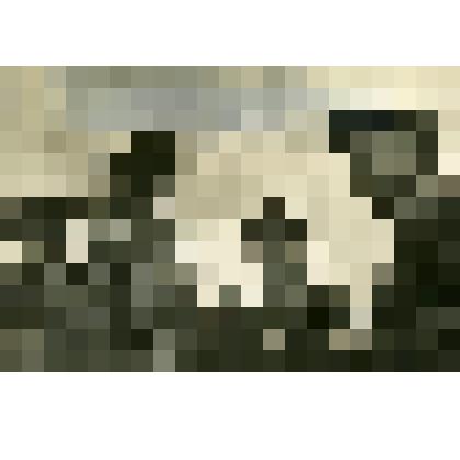 Фотография. Шахтеры