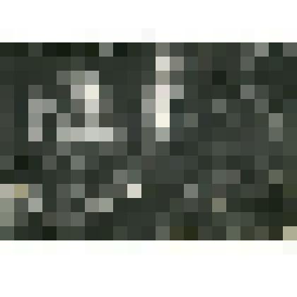 Фотография. Собрание в Коломенском парке, в связи  с награждение колхоза знаменем