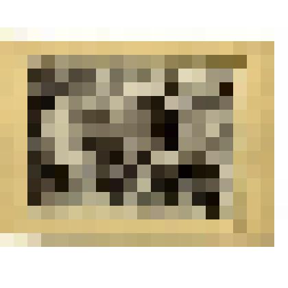 Фотография. Горбатовский уезд, с.Павлово. Производство ножей и вилок