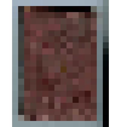 Книга. Господа нашего Иисуса Христа Святое Евангелие от Матфея, Марка, Луки и Иоанна. - СПб.: Синодальная Типография, 1904. - 322 [16] с