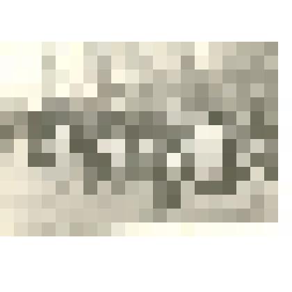 Фотография: первомайская демонстрация в г.Камень-на-Оби Алтайского края