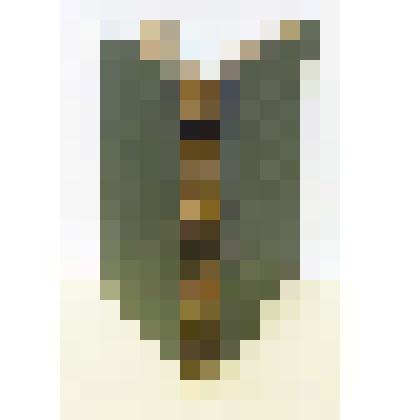 Энциклопедический словарь   Том 75
под редакцией К.К.Арсеньева и проф. Ф.Ф.Петрушевского