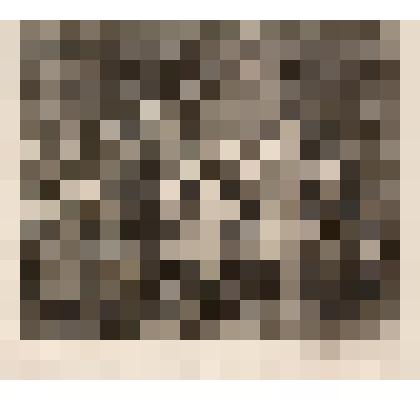 Утренний прием. Лист  II из серии "Карьера мота". 1735, из альбома «The Works of William Hogarth»