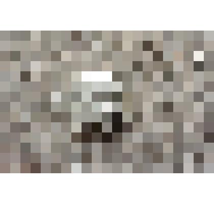 Значок: Ленин