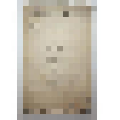 Книга. Справочная книга для лесничих. Типография Якова Трея