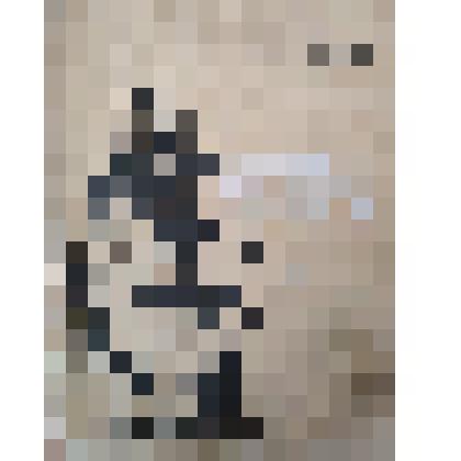 Книга "Аврорин табачок"