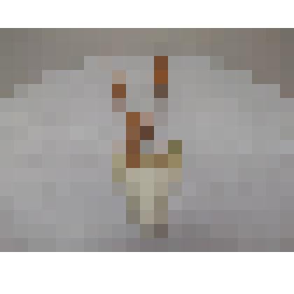 Голова оленя с рогами