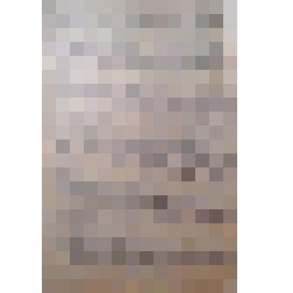 Краткая автобиография Костенко И.И