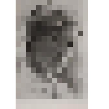 Горожанина Берта Яковлевна