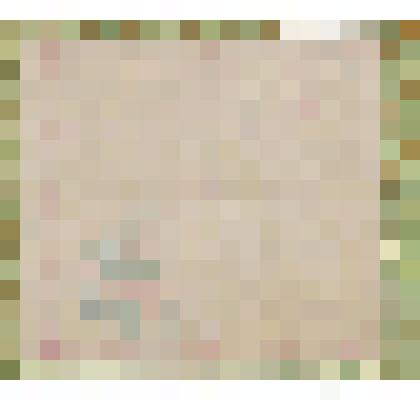 Носовой платок