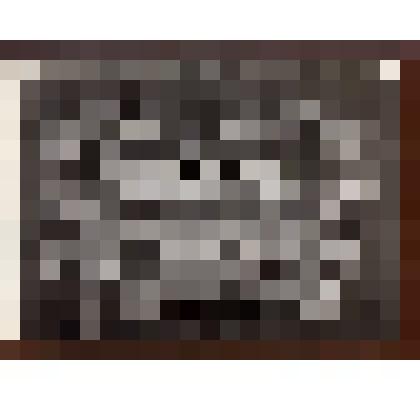 Фотоколлаж "Выпуск ученых зоотехников"