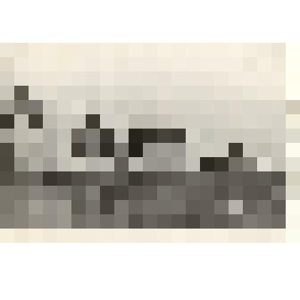 Фотография: строительство новых домов в совхозе им. Крупской с.Романово Панкрушихинского района Алтайского края