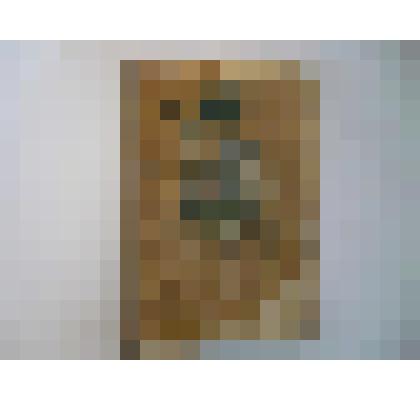 Книга. Опись домовладений Сапожка. 1923 г