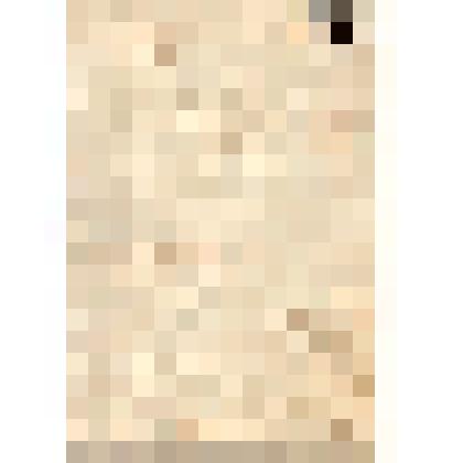 Объявление в Саратовскую городскую думу   крестьянина Петровского уезда Карпа Артемьева о продажи меда