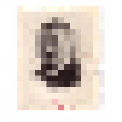 Фотография. Портрет Б.А. Венкова