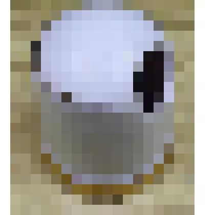 Горчичница