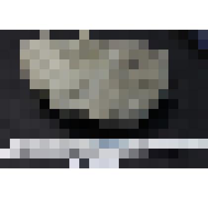 Колония кораллов