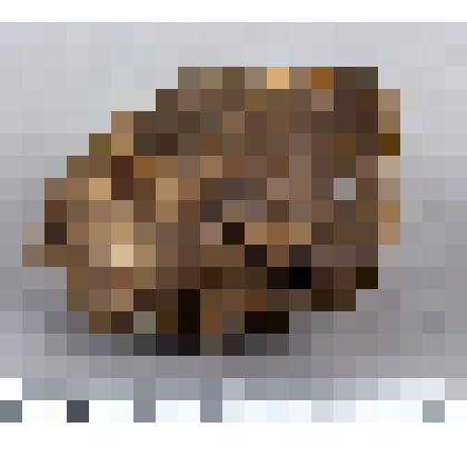 Галька со сколами