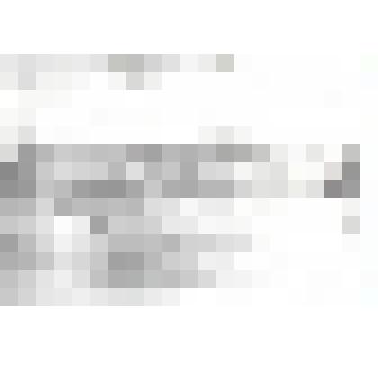 Фотокопия фотографии. Внешний вид сушечного цеха комбината Крайсо. 1936г