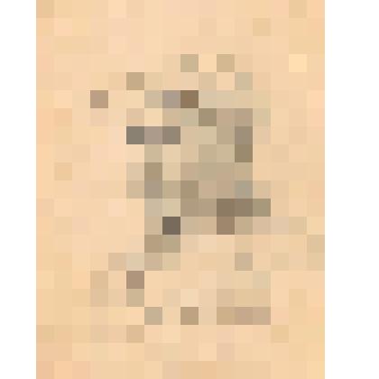 Петров Борис Николаевич "Портрет мужчины в кепке"