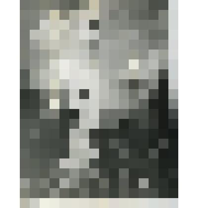 Фотокопия ч/б. Памятник на 40 км Ленинградского шоссе