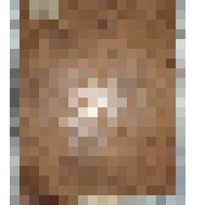 Книга. История Российских законов. С посвящением Государю императору Александру Павловичу. - Издание Льва Максимовича