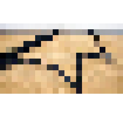 Цепь очажная