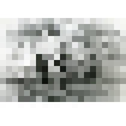 Фотография. Огород Гробовых на берегу Москвы-реки. Село Коломенское