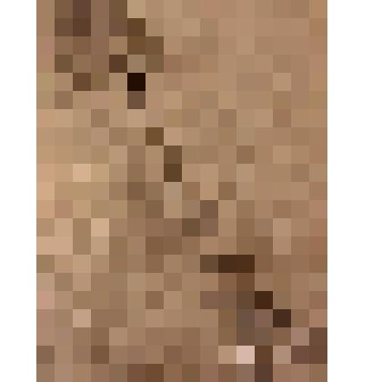 Сбивалка ручная (лопатка), из коллекции бытовых вещей семьи Бугаенко Павла Андреевича, профессора филологического факультета Саратовского государственного университета