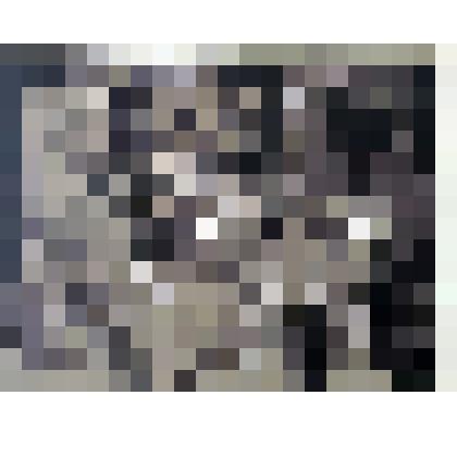 Профессор Гоуберт