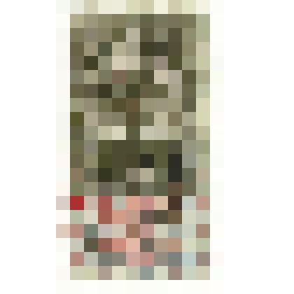 Марки почтовые. Марка почтовая. 10 копеекъ (хаки). Надпись "Гербовая марка"  по верхней части круга,с изображением царской короны в центре круга и царского герба внизу.На лицевой  стороне чернильный штамп красного цвета  "Вооруж.силы юга Россîи" и темным