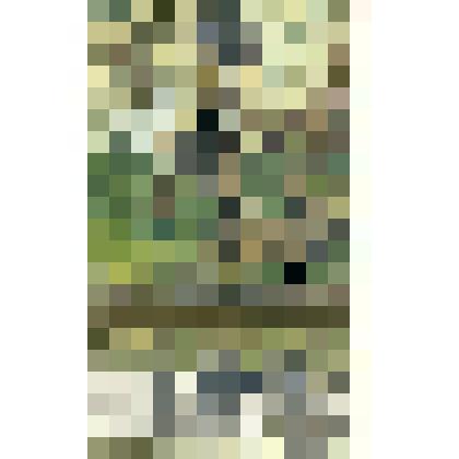 Этюд. Перед деревней Старово